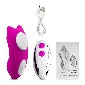 9 Speed Panty Magnet Vibrator with Remote Control