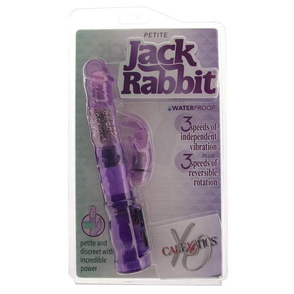 Purple Jack Rabbit Starter Vibe